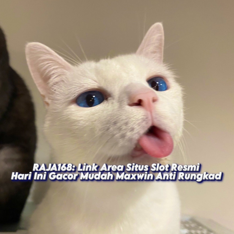 RAJA168: Link Area Situs Slot Resmi Hari Ini Gacor Mudah Maxwin Anti Rungkad